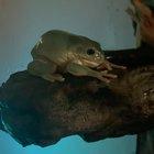 Growing boy goes NYAM