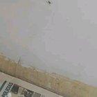 My friend sent me this