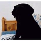 How blackholes are discovered