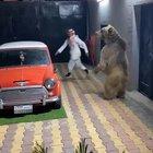 ring a round a rosie