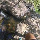 HMFT after I slip in a trip