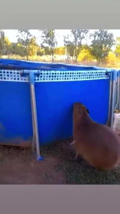 3 2 1 Jump! ð