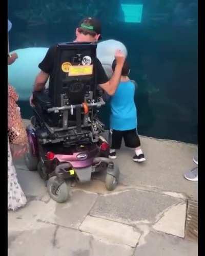 Beluga Whale Scares People playfully