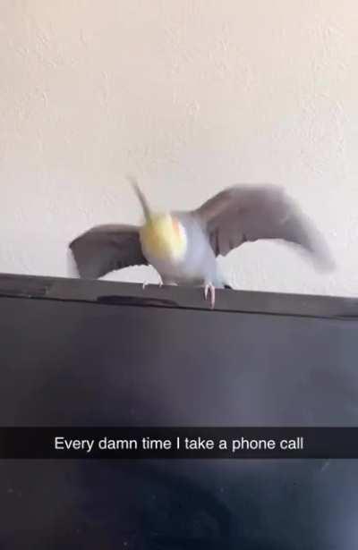 I’m trying to work and he just wants to party