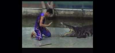 WCGW putting my arm between the strongest jaws on the planet?