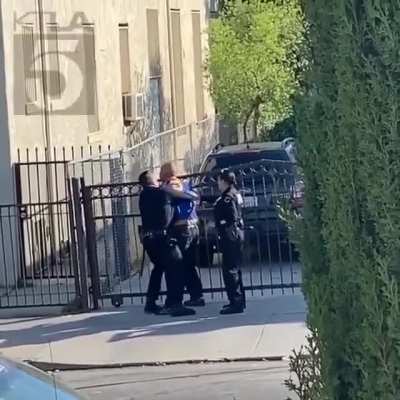 Good ole American police protecting the city.