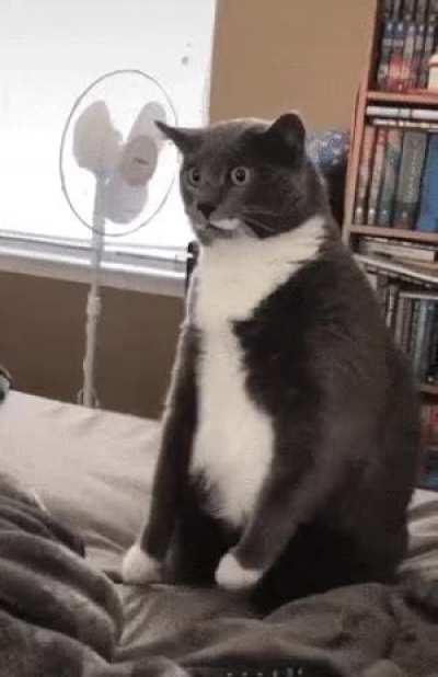 Подсказывает, как правильно...