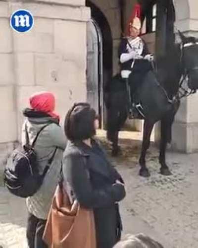 Woman Harrasses King's Guard horse and soldiers despite beem told to stop several times.