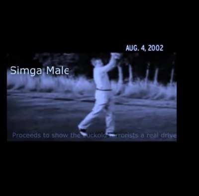 Sigma Political Compass