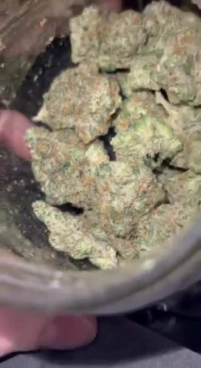 Purple Crash💥💥