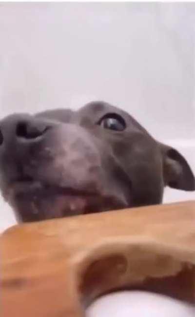 This is how you treat your family member