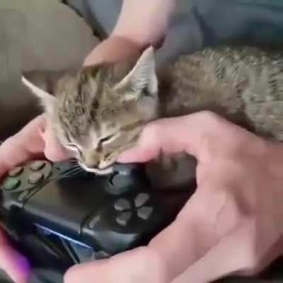 Perfect gaming companion
