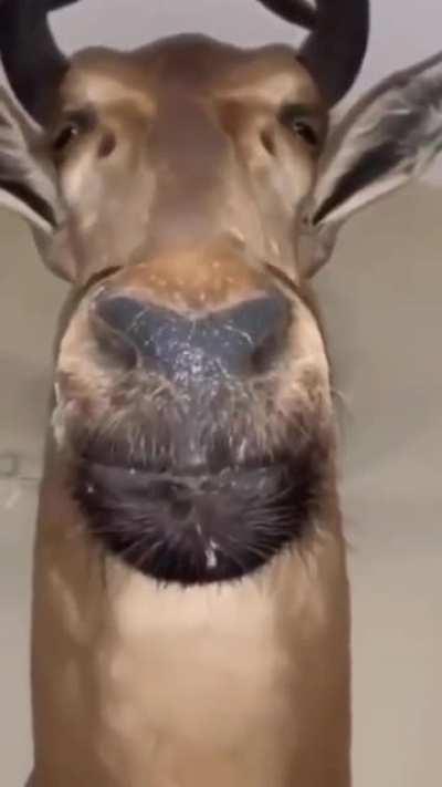 A face that has seen things..