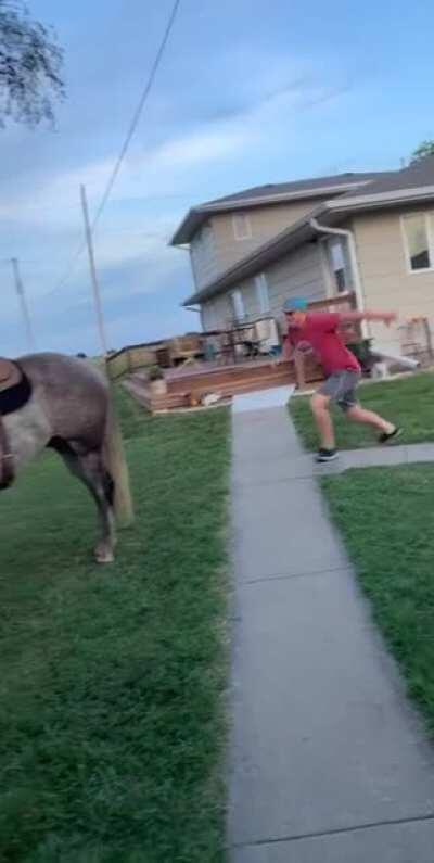 Imma leave this here