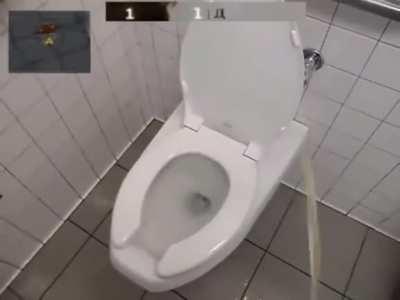 This is why public bathrooms are gross