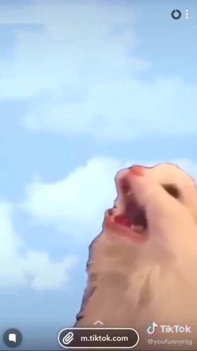 Me finding a old Coke zero in a store