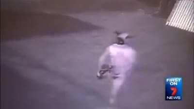 [Haiku] What a Joker laugh 7 News