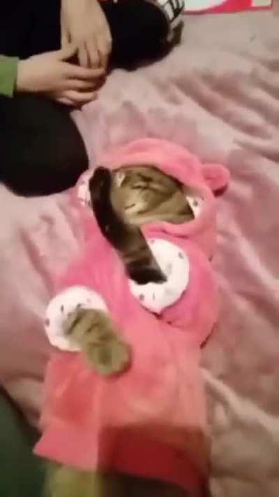 I know a wizard when I see one...