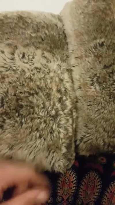 Thought this would fit here.