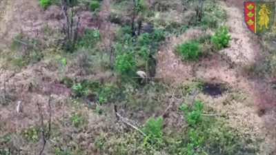 2 Russian foreign fighters beg for surrender to a Ukrainian Drone that leads them to safety Zaporizhia Directon