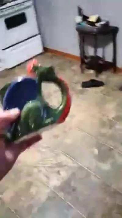 You can really hear the pride in my voice