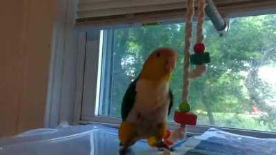 Dancing like there’s no tomorrow