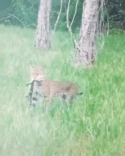 Просто обычный день во Флориде