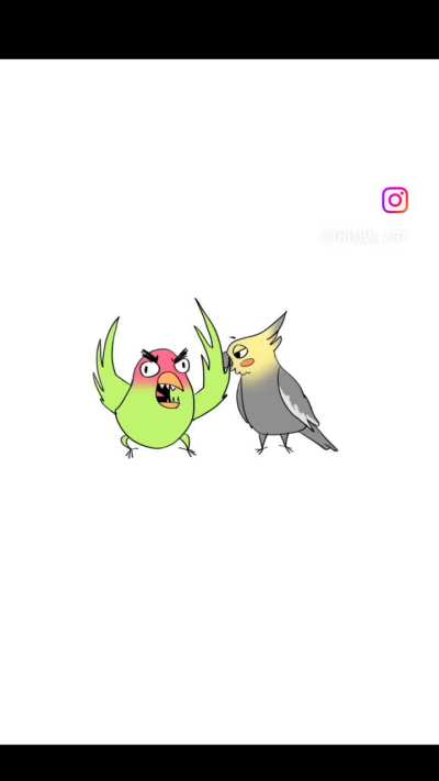 Typical birbs conversation 