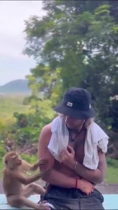 Monkey see, monkey 🙊 