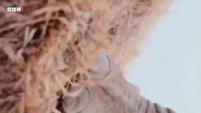 behold our department's latest poohickey