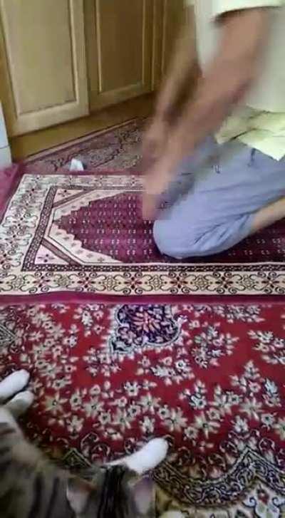 Something a little more wholesome