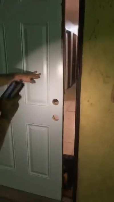 Hung the new door, boss!