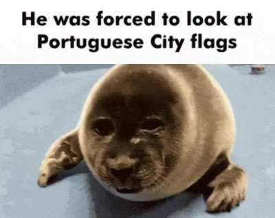 Flag Of My Reaction To The 'Portuguese City Flag Meta'
