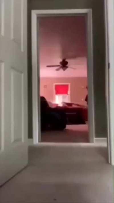 Перспектива