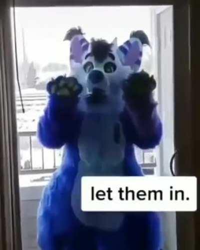 Don't touch me, please