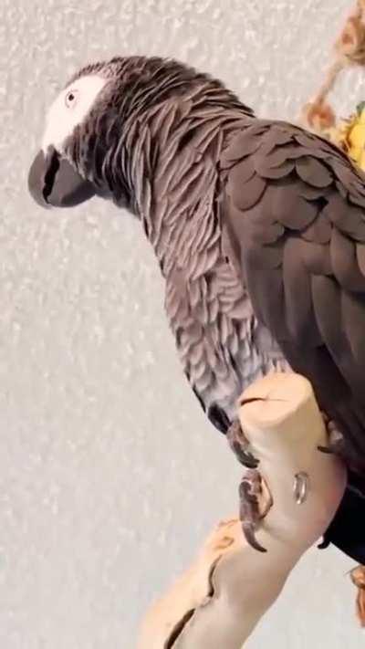 He saw things he never forget 