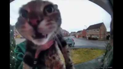 Important announcement