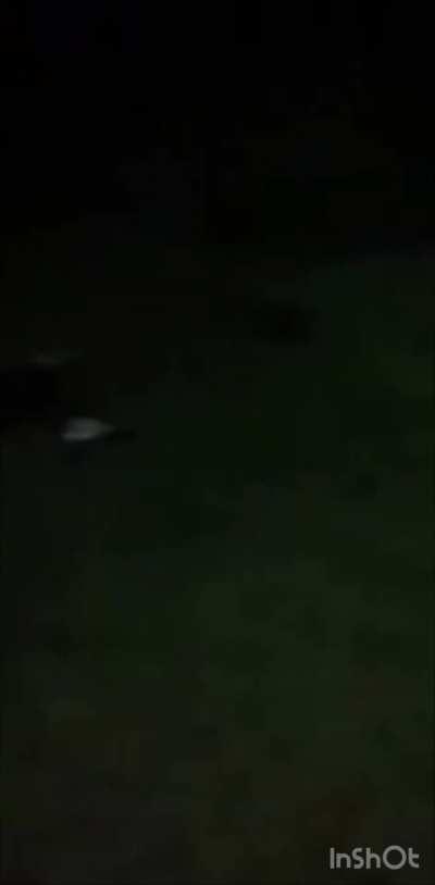 Friends getting pounded at a party 