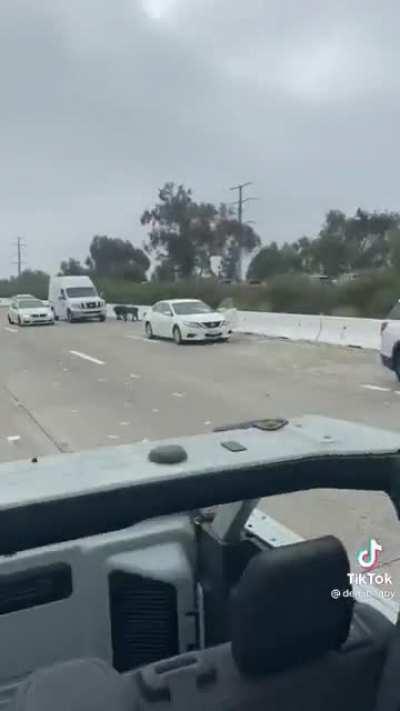 Armored Car Drops Tons Of Cash On California Highway