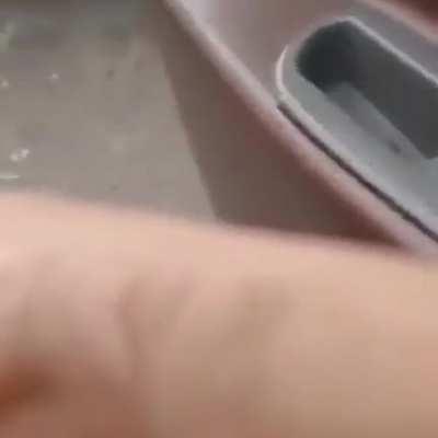 A woman in the Islamic Republic of Iran walking topless and asking people if they want a whore