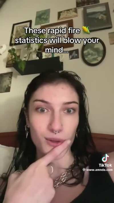 Pornography Statistics