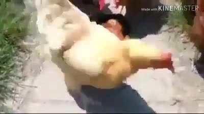 SOMETIMES I QUESTION MY FREINDS ON DISCHORD 😐