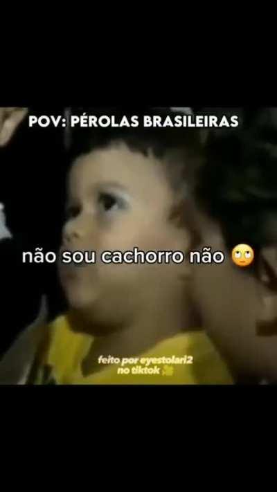 Pérolas brasileiras