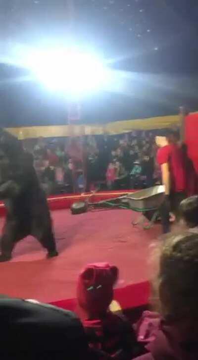 Idk man this video made me happy