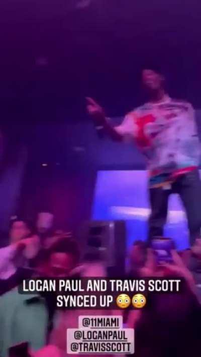 Logan Paul rolling off molly at Travis Scott lmfaooo