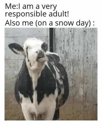 I am too weak to resist