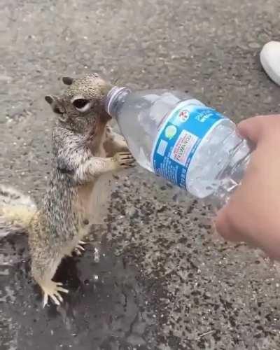 Homies come in all shapes and sizes!