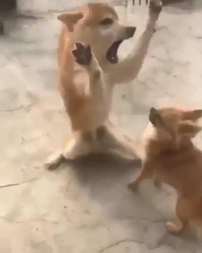 Forgive me master. I must use the forbidden stance