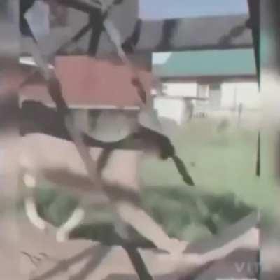 Fucking floppa Friday