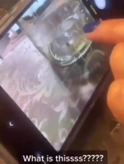 EMF responsible spider startle?